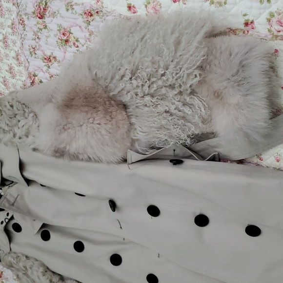 5K Burberry London runway aviator trench coat fox lamb fur quilted plaid US 2 4 - Picture 9 of 17